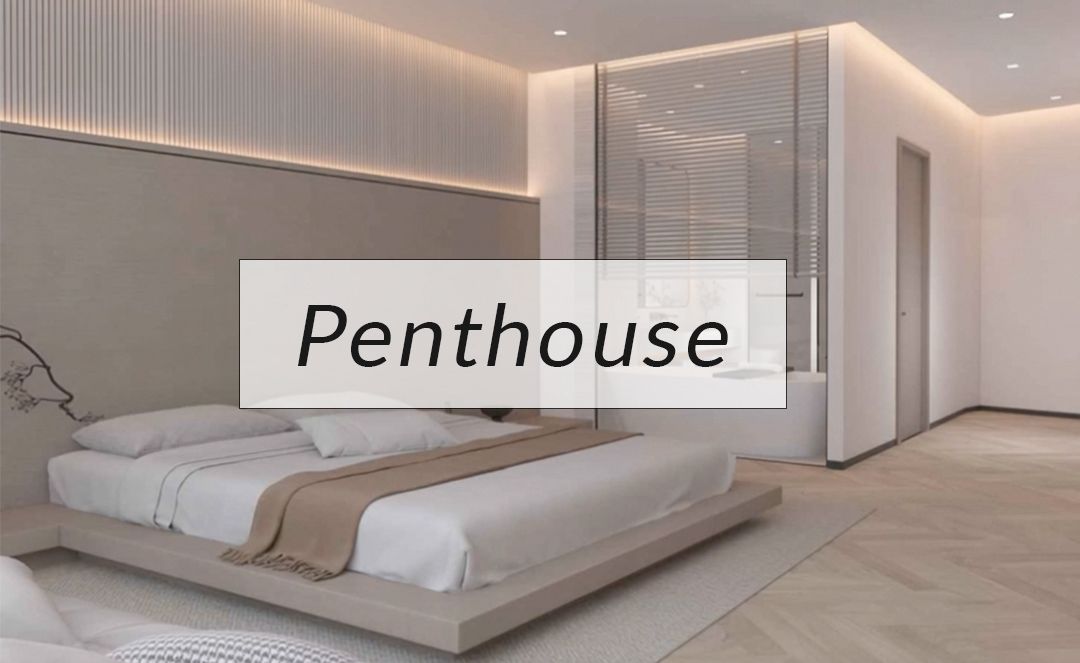 Penthouse Renovation